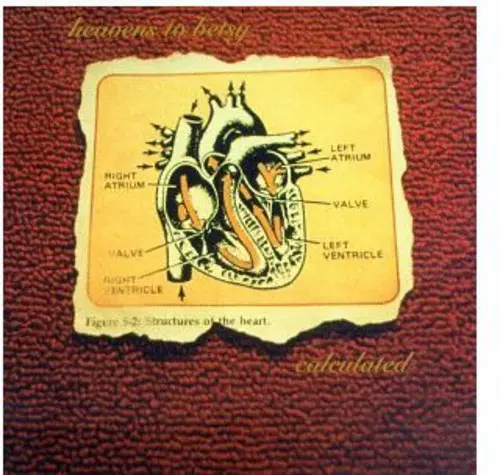 Heavens To Betsy: Calculated - Compact Discs 1
