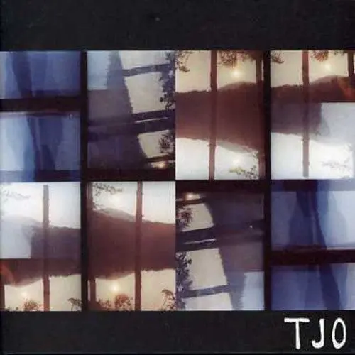 Tara Jane O'neil: The Joy Of... - Compact Discs 1