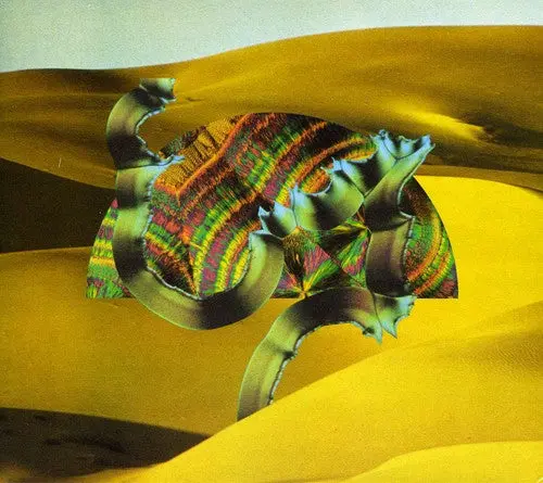 Django Django: Django Django - Compact Discs 1