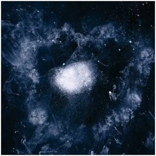 Swans: My Father Will Guide Me Up A Rope To The Sky - Compact Discs 1