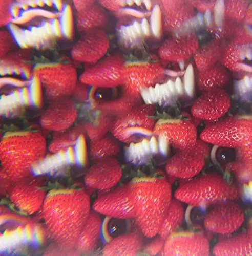 Thee Oh Sees: Floating Coffin - Vinyl Lp 1