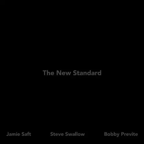 Jamie Saft / Swallow, Steve / Previte, Bobby: New Standard - Vinyl Lp 1