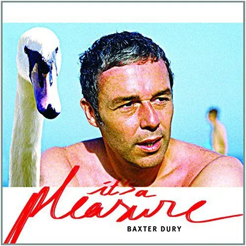 Baxter Dury: It's A Pleasure - Vinyl Lp 1