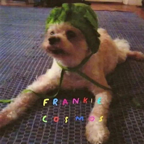 Frankie Cosmos: Zentropy - Compact Discs 1
