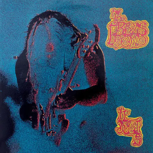 The Bevis Frond: It Just Is - Vinyl Lp 1