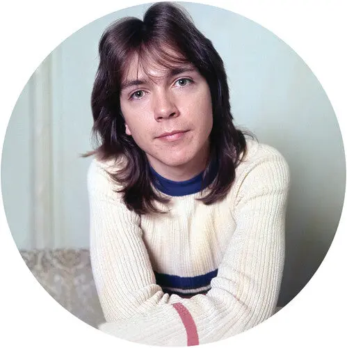 David Cassidy: I Think I Love You - Greatest Hits Live (Picture Disc Vinyl) - Vinyl Lp 1