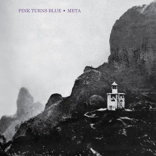 Pink Turns Blue: Meta (Reissue) - Vinyl Lp 1