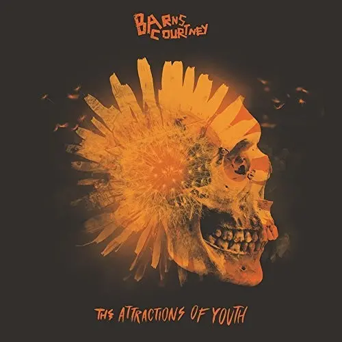 Barns Courtney: The Attractions Of Youth - Vinyl Lp 1