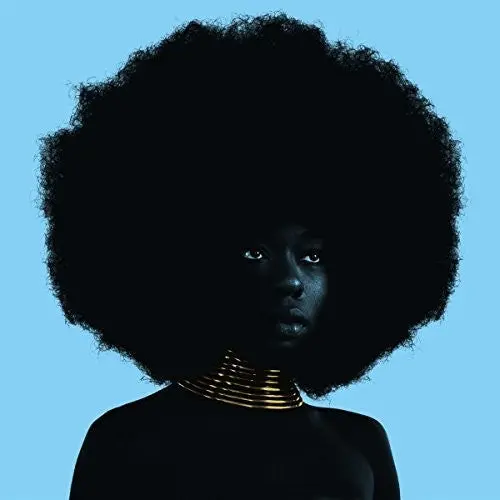 Sudan Archives: Sink - Vinyl Lp 1