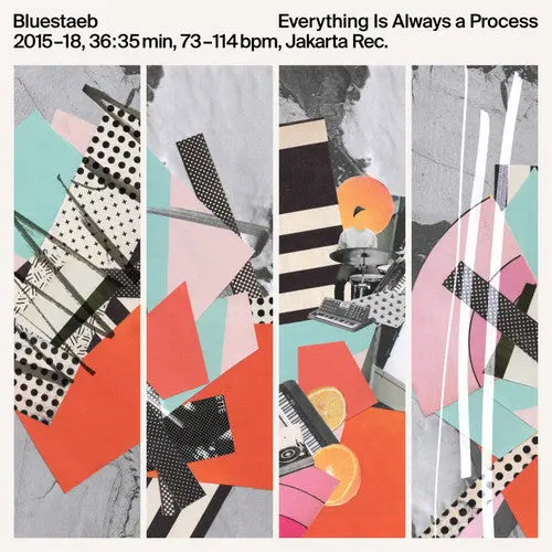 Bluestaeb: Everything Is Always A Process - Vinyl Lp 1
