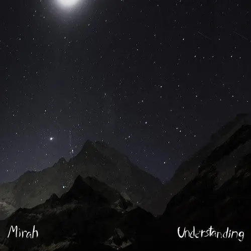 Mirah: Understanding - Vinyl Lp 1