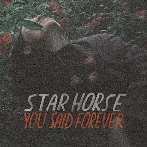 Star Horse: You Said Forever - Vinyl Lp 1