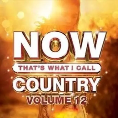 Various Artists: Now Country 12 / Various - Compact Discs 1