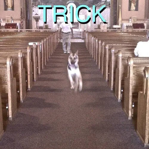 Alex G: Trick - Vinyl Lp 1