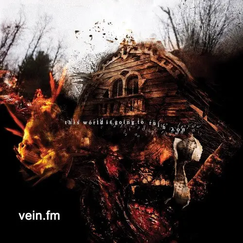 Vein.Fm: This World Is Going To Ruin You - Vinyl Lp 1