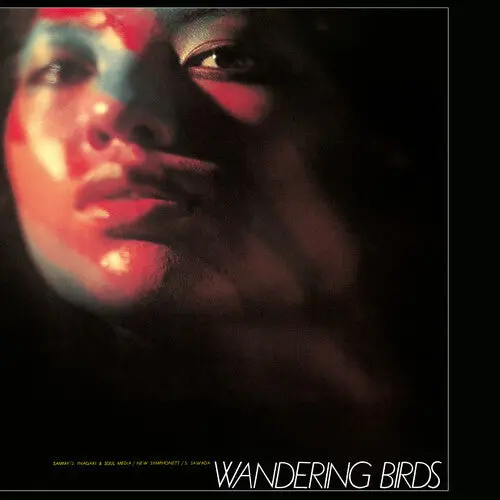 Inagaki, Jiro & Soul Media: Wandering Birds - Clear Purple Vinyl - Vinyl Lp 1