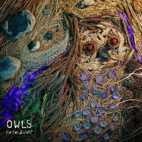 The Owls: Rare Birds - Compact Discs 1