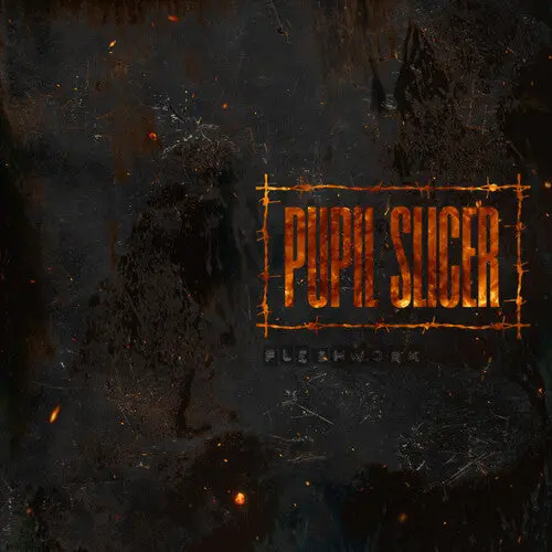 Pupil Slicer: Fleshwork - Compact Discs 1
