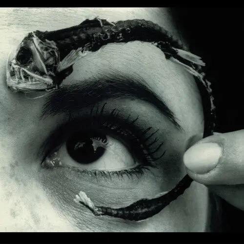 Mr Bungle: Disco Volante - Vinyl Lp 1