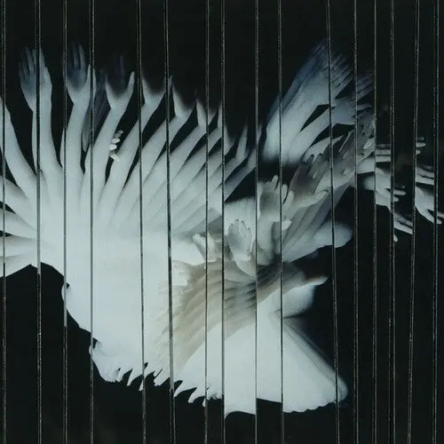 Scaler: Endlessly - Compact Discs 1