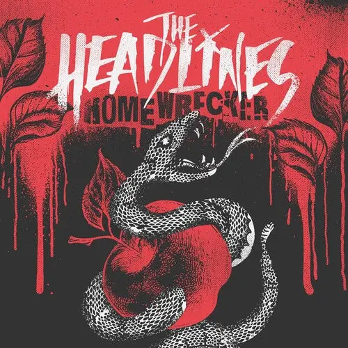 The Headlines: Homewrecker - Black/White Marble Swirl - Vinyl Lp 1