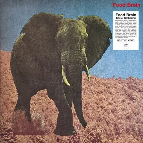 Foodbrain: Social Gathering - Vinyl Lp 1