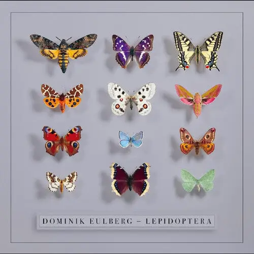 Dominik Eulberg: Lepidoptera - Vinyl Lp 1