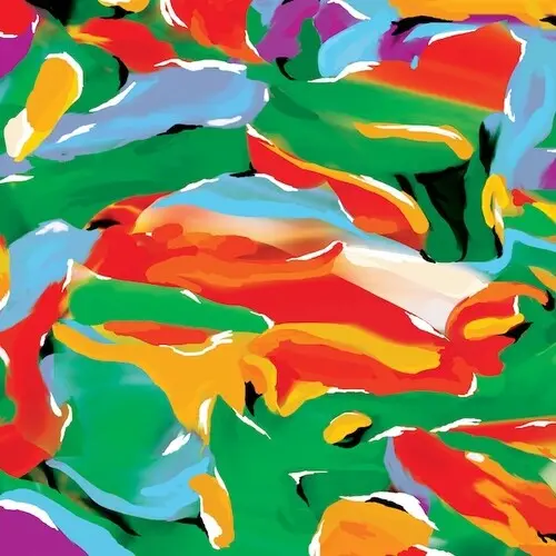 Auntie Flo: Birds Of Paradise - Vinyl Lp 1