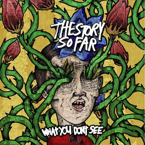 The Story So Far: What You Don't See - Vinyl Lp 1