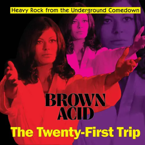 Various Artists: Brown Acid - The Twenty-First Trip (Various Artists) - Vinyl Lp 1