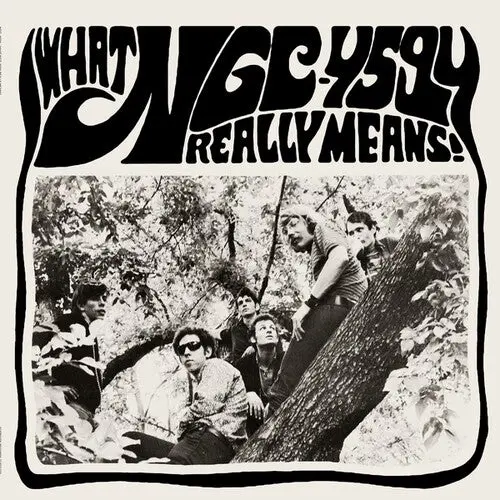 Ngc-4594: What Ngc-4594 Really Means! - Vinyl Lp 1