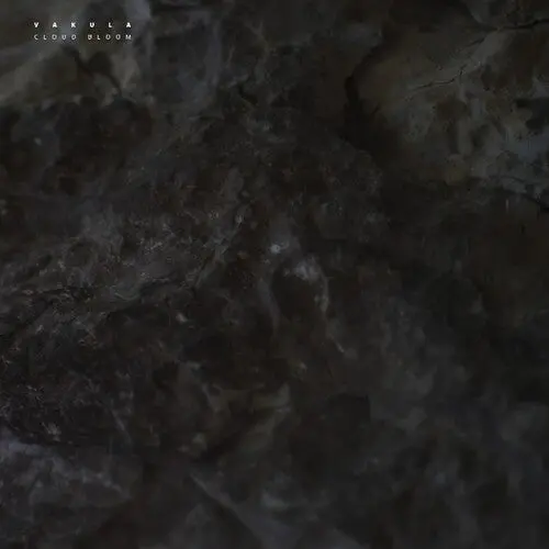 Vakula: Cloud Bloom - 12-Inch Single 1