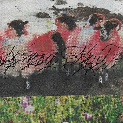 Kassie Krut: Kassie Krut - Vinyl Lp 1