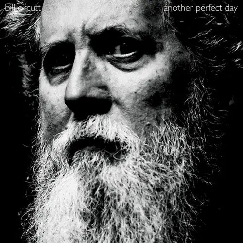 Bill Orcutt: Another Perfect Day - Compact Discs 1
