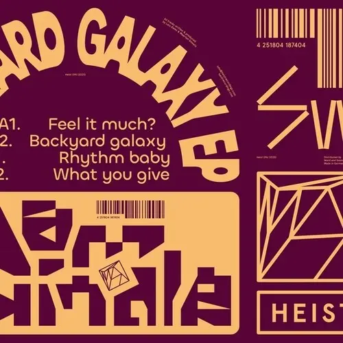 Dam Swindle: Backyard Galaxy - 12-Inch Single 1