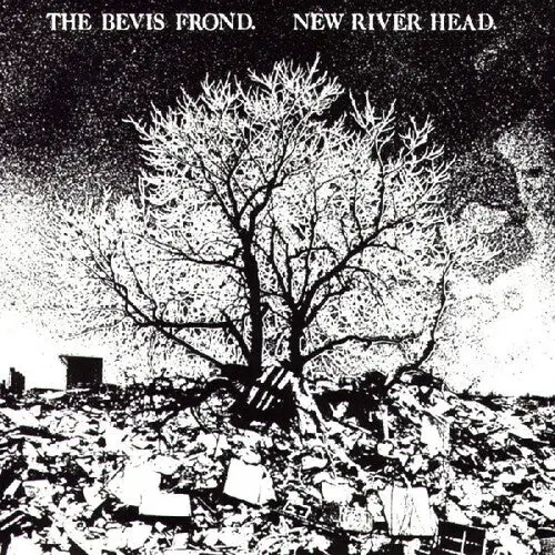 The Bevis Frond: New River Head - Vinyl Lp 1