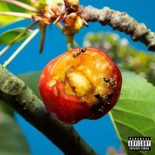 Mecna: Discordia, Armonia E Altri - Vinyl Lp 1