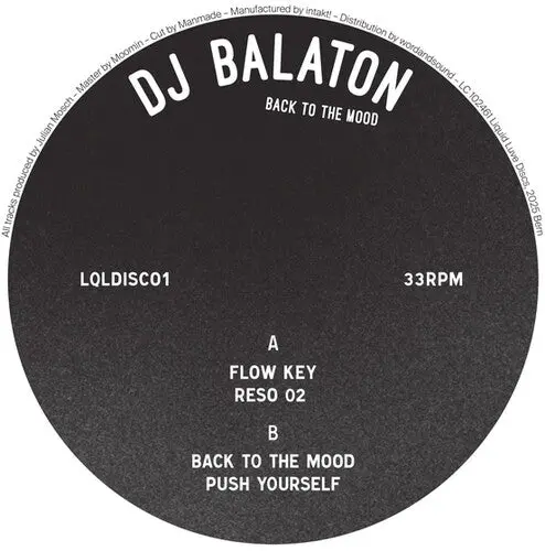 Dj Balaton: Back To The Mood - 12-Inch Single 1