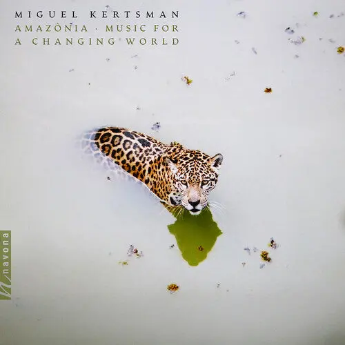 Miguel Kertsman: Amazonia - Music For A Changing World - Vinyl Lp 1