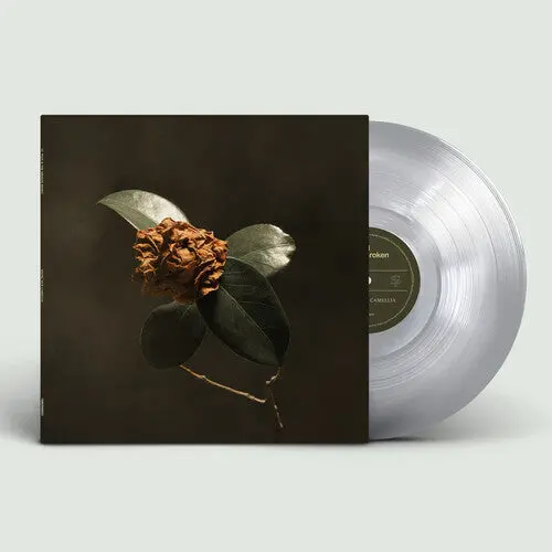 St. Paul & The Broken Bones: Young Sick Camellia - Vinyl Lp 1
