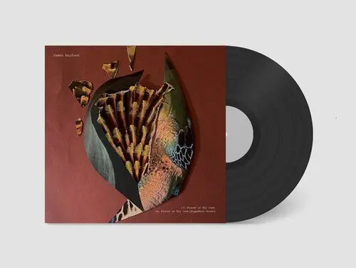James Hayford: Split - 12-Inch Single 1