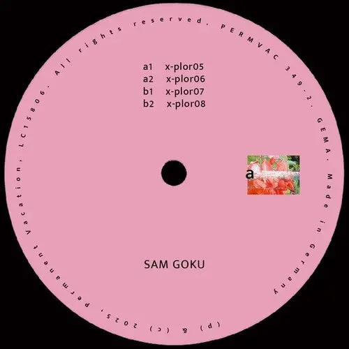 Sam Goku: Explorations 02 - 12-Inch Single 1