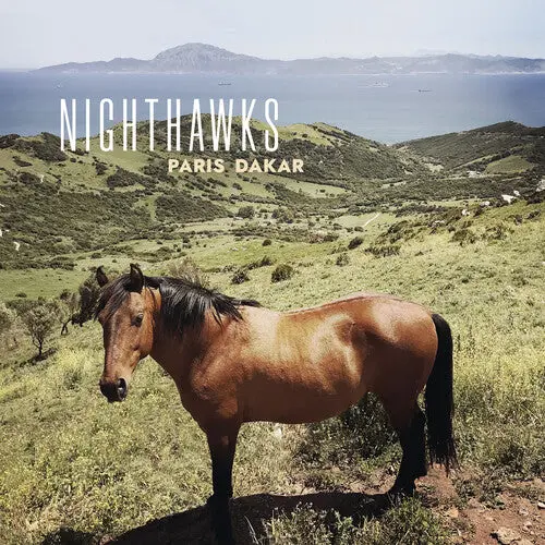 The Nighthawks: Paris Dakar - Compact Discs 1
