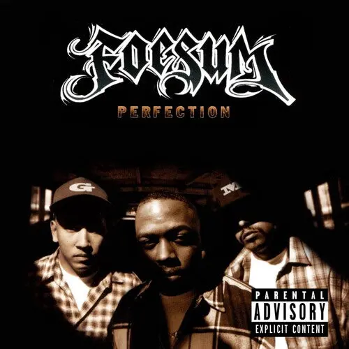 Foesum: Perfection (30Th Anniversary) - Vinyl Lp 1