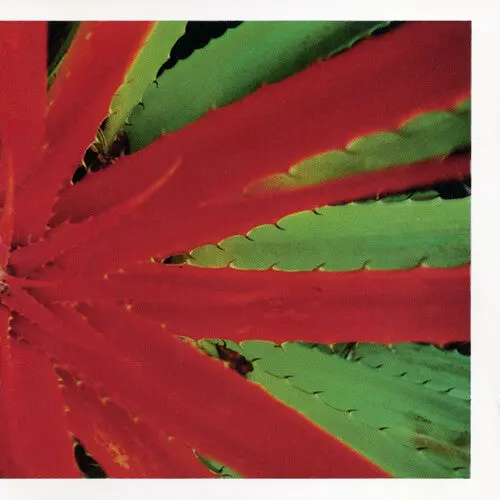 Jejune: This Afternoons Malady - Vinyl Lp 1