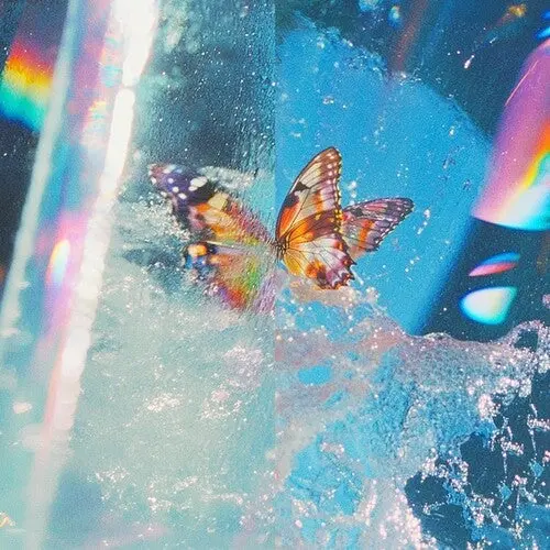 Daphni: Butterfly - Compact Discs 1