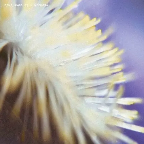 Dimi Angelis: Nech034 - 12-Inch Single 1