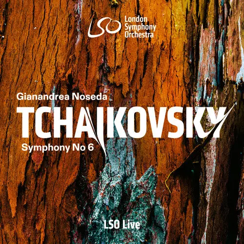 Gianandrea Noseda: Tchaikovsky: Symphony No. 6; Mussorgsky: Prelude To Khovanshchina - Super-Audio Cd 1