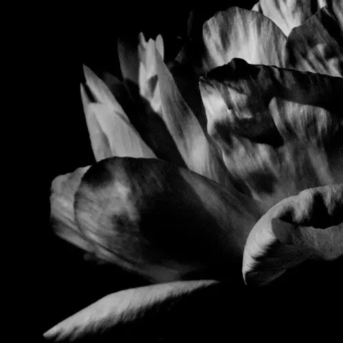 Louise Roam: La Ou Passe La Nuit - Compact Discs 1