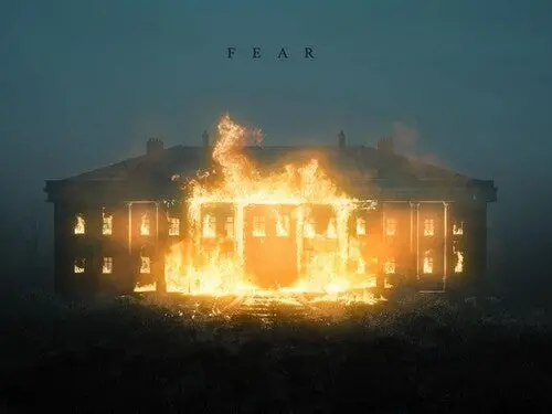 Nf: Fear - Vinyl Lp 1